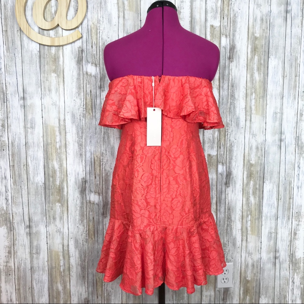 Coral Mini Dress - Picture 6 of 8